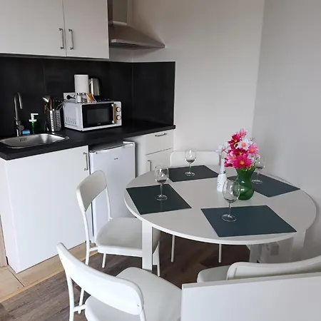Apartment Brand New Penthouse #33 Near Center With Free Parking Prague